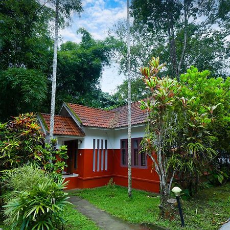 Vythiri Holiday Resort, Wayanad Ngoại thất bức ảnh