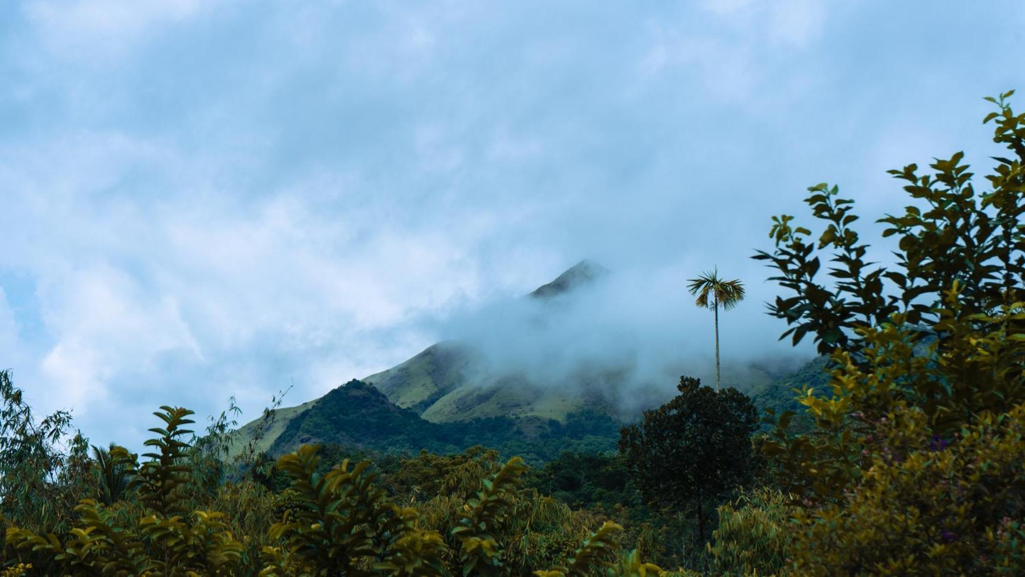 Vythiri Holiday Resort, Wayanad Ngoại thất bức ảnh