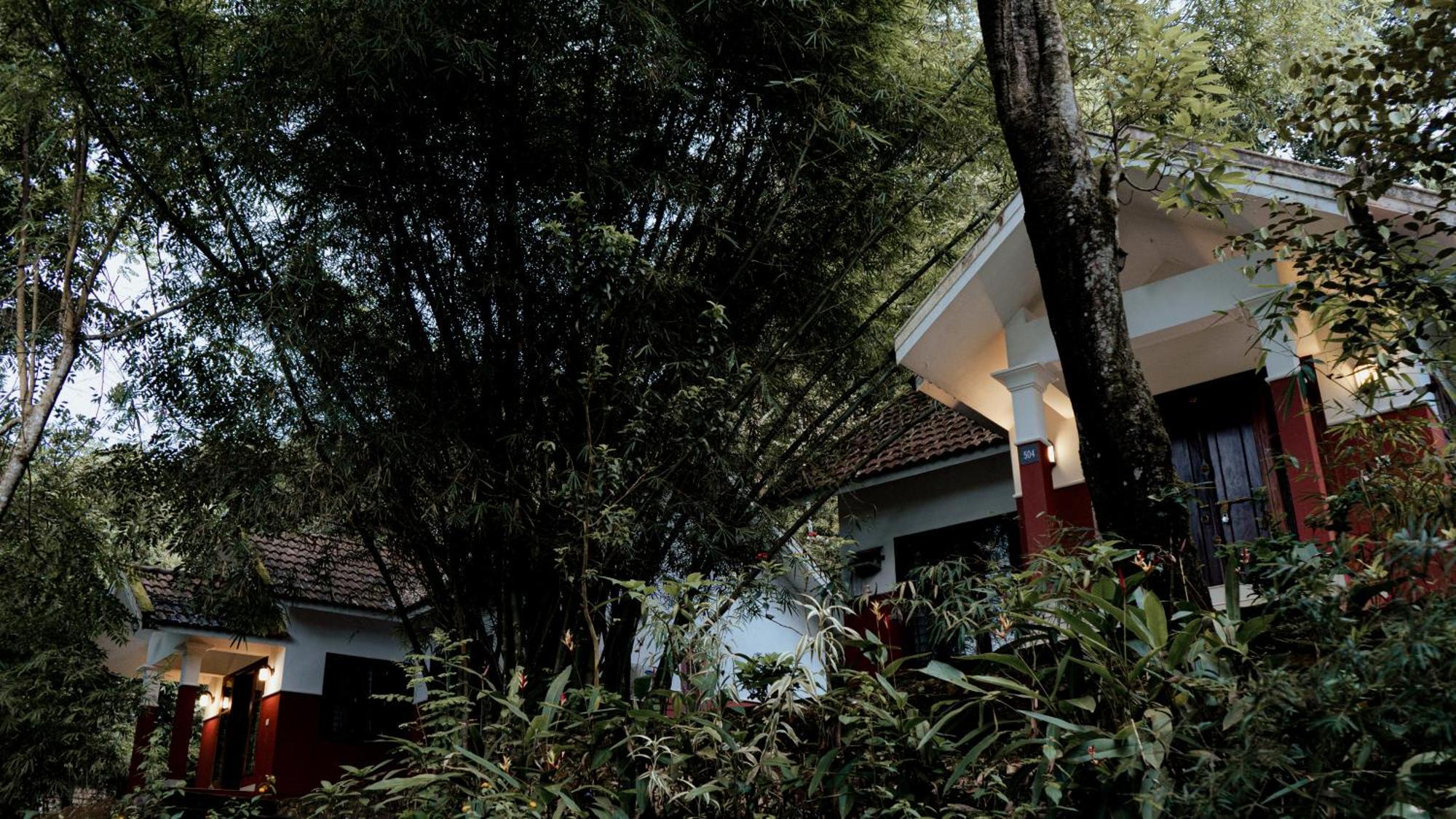 Vythiri Holiday Resort, Wayanad Ngoại thất bức ảnh